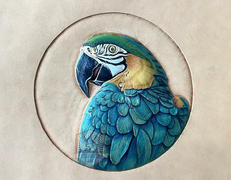How to carve a parrot？