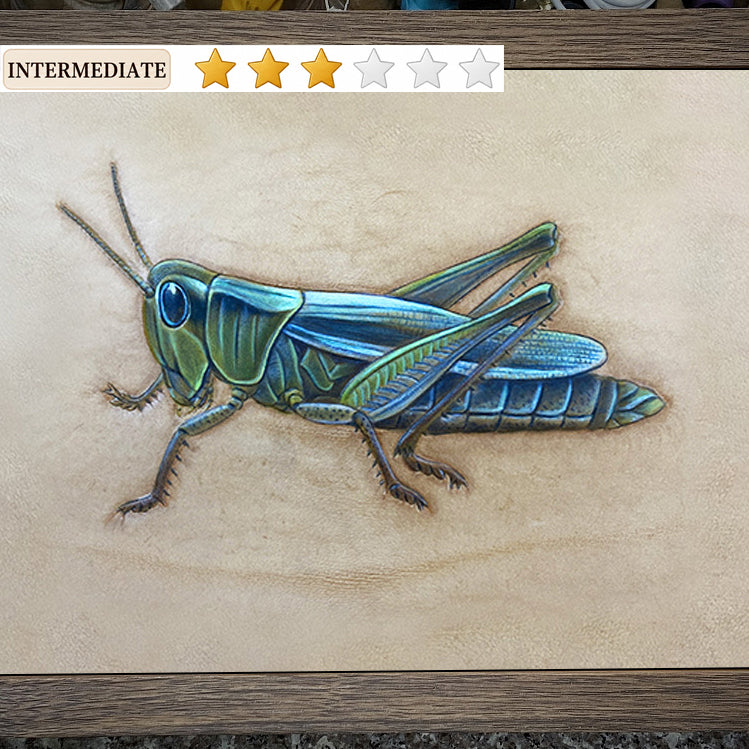 Video Course‑Leather Carving Locust