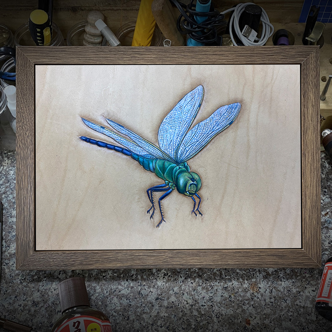 Video Course‑Leather Carving Dragonfly