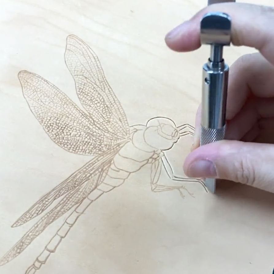 Video Course‑Leather Carving Dragonfly