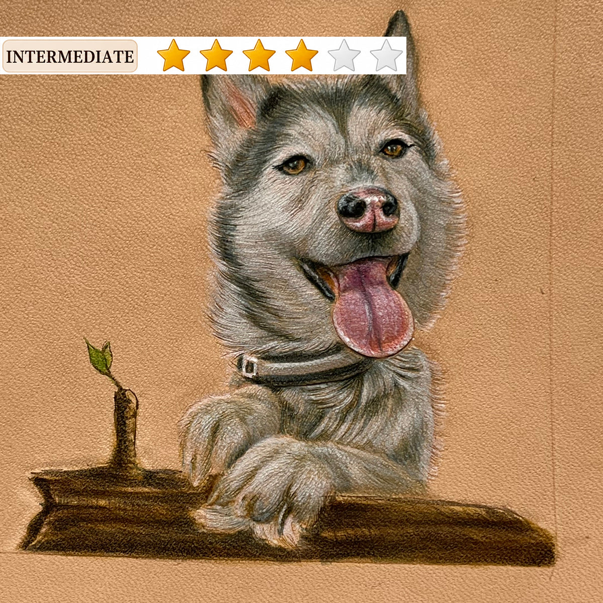Video Course‑Leather Carving Husky