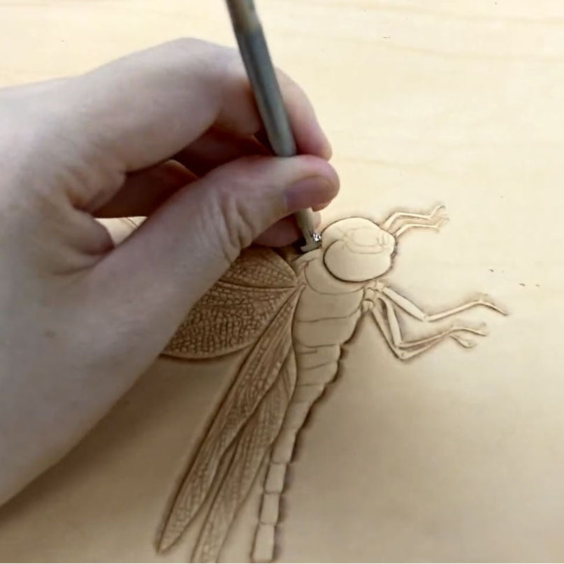 Video Course‑Leather Carving Dragonfly