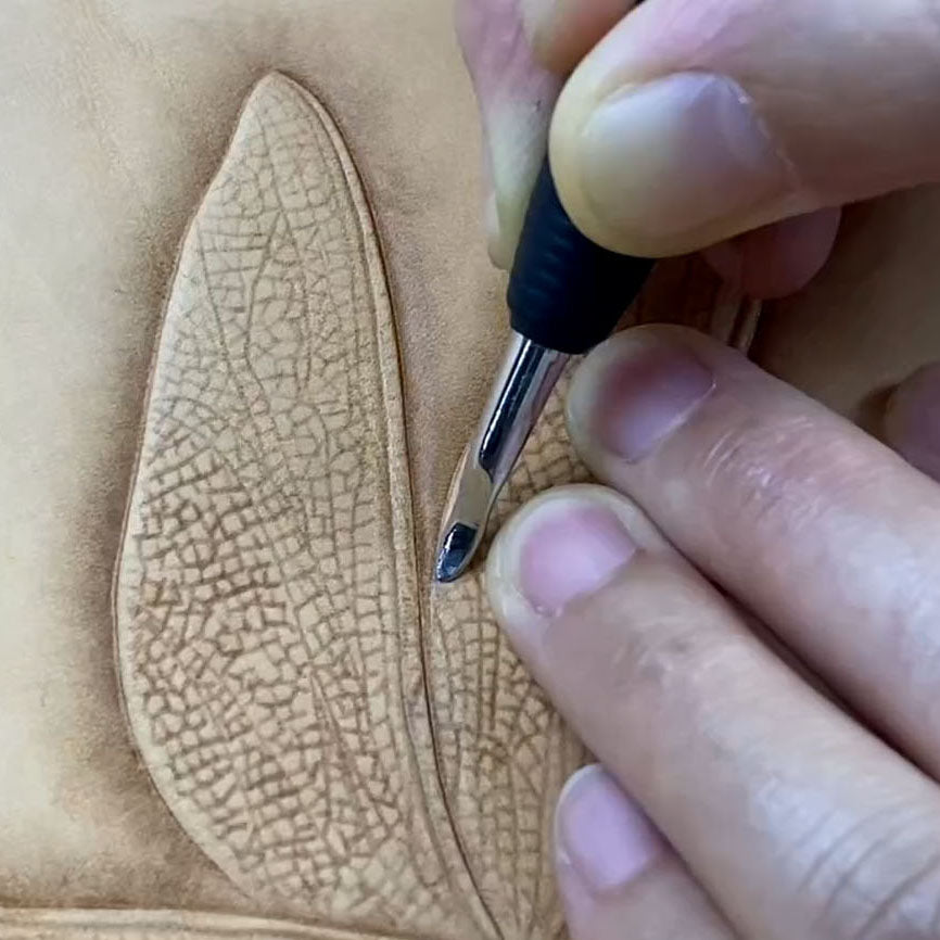 Video Course‑Leather Carving Dragonfly