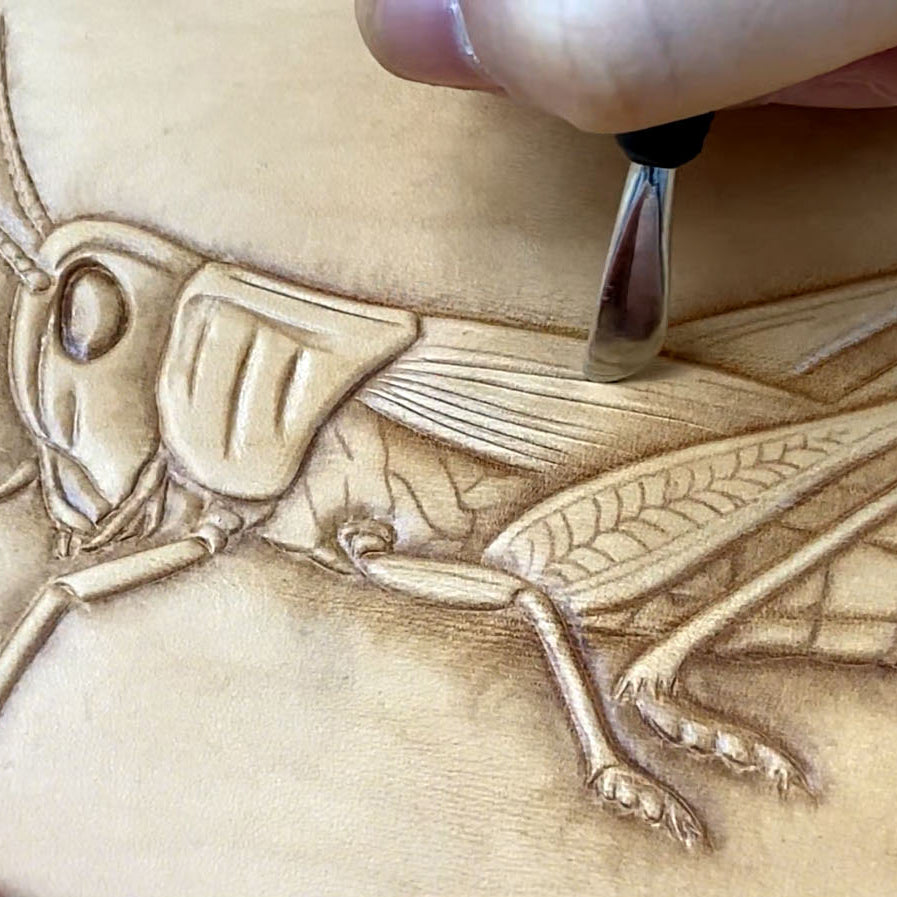 Video Course‑Leather Carving Locust