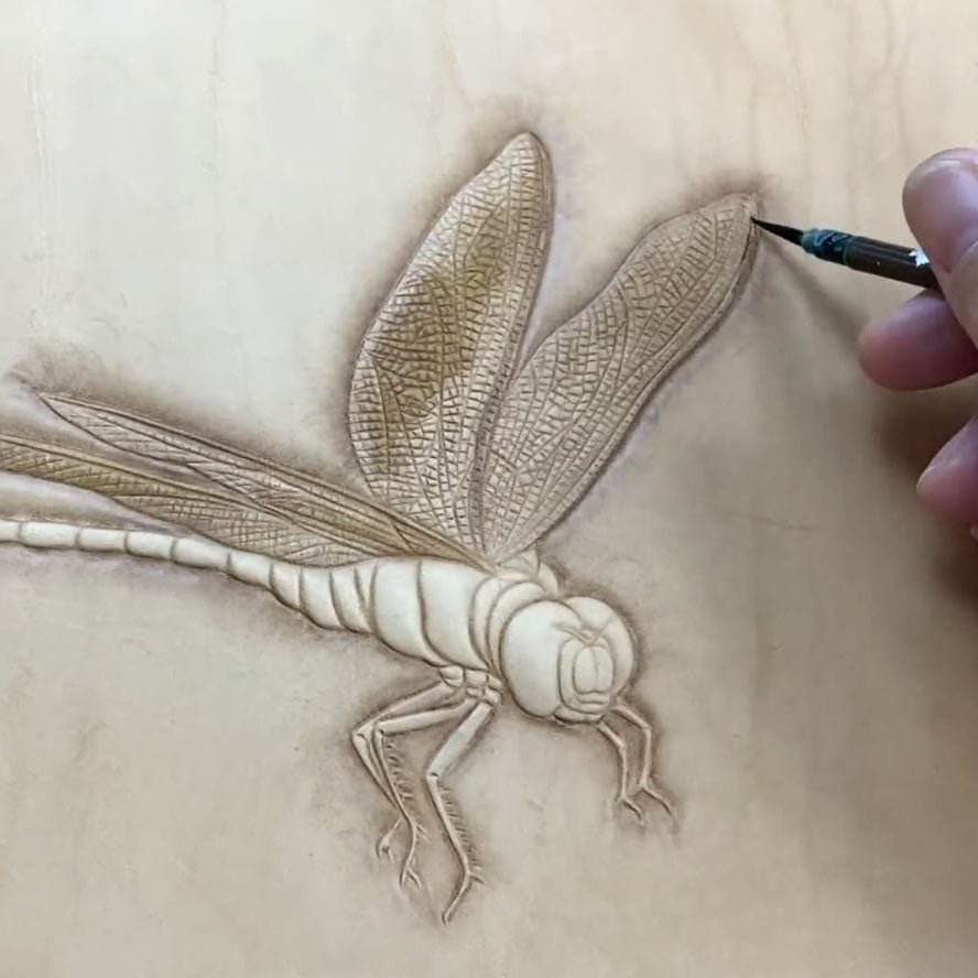 Video Course‑Leather Carving Dragonfly
