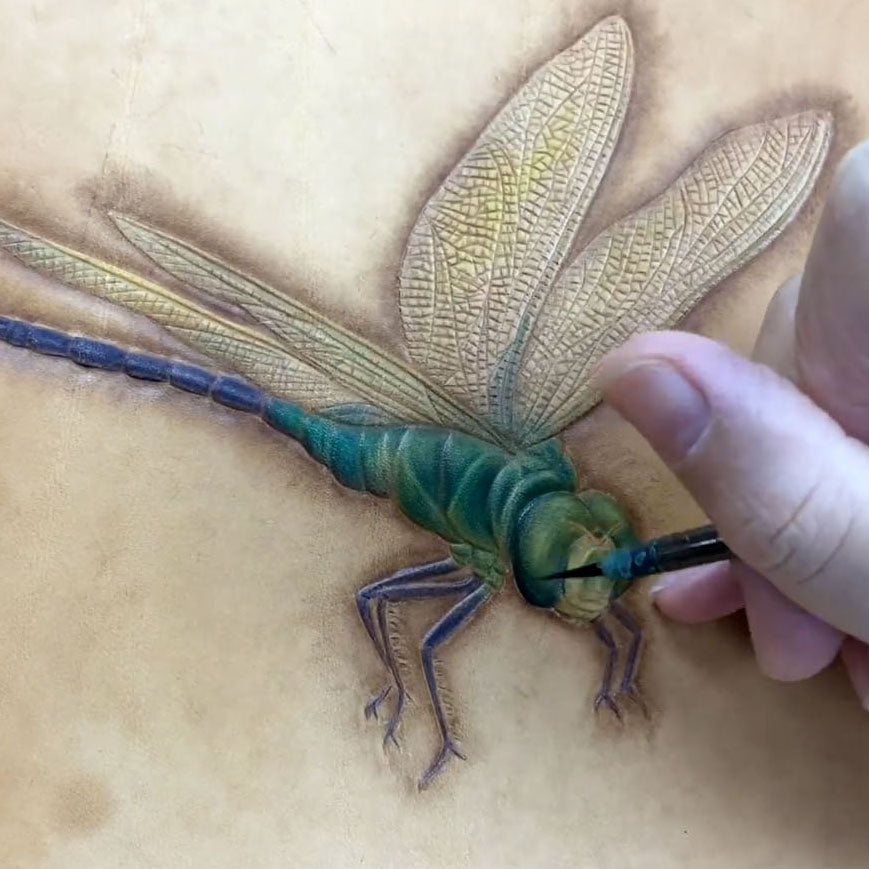 Video Course‑Leather Carving Dragonfly