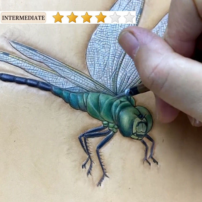 Video Course‑Leather Carving Dragonfly